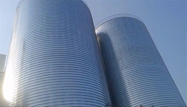 鄄城2座混凝土高架卷板仓